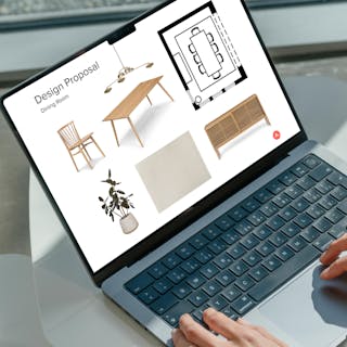 Article design plan prepared for Vivian