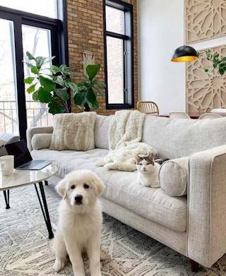 article-michelletsturgis-sven