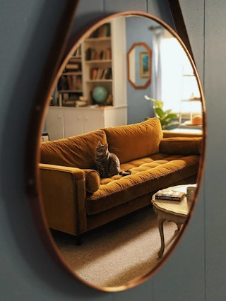 pdp-curated-ugc-sven-yarrow-gold-sofa-ugc-#1-asset