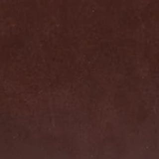 swatch-indiana-brown