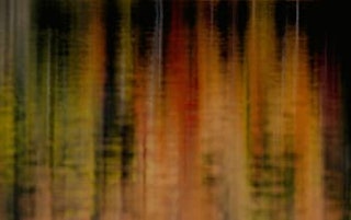 Fall Style LP - Tile 5 - IMG - asset