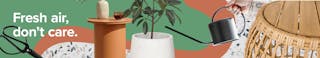 pinterest-browse-plantsome-banner-desk