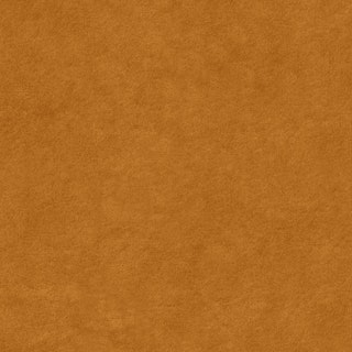 Fall Style LP - Palette Section - Swatch 8 - asset - media