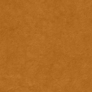 Fall Style LP - Palette Section - Swatch 8 - asset - media