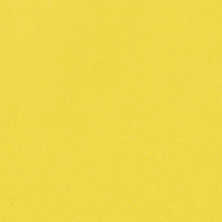 Collections Swatch - Daisy Yellow - Img - Asset
