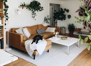 SEOPost-FabricvsLeather-BevCooks-FeatureImage-01