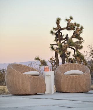 Customer Photo Of Article Product