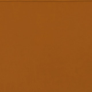 swatch-pacificginger