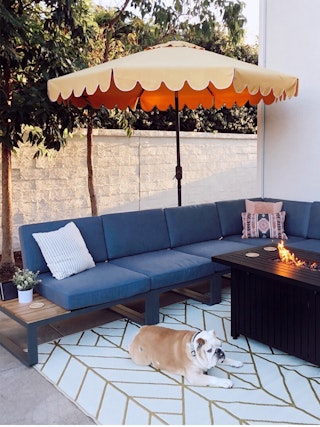 home-ugc-thebrandbev-asset-desktop