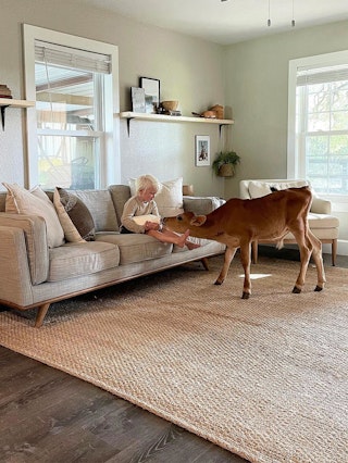 pdp-curated-ugc-timber-rain-cloud-gray-sofa-ugc-#4-asset