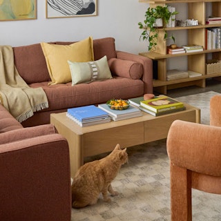 Bedroom scene with Article bed