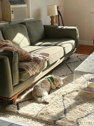 pdp-curated-ugc-timber-olio-green-sofa-ugc-#3-asset