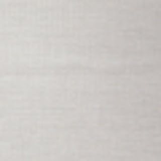 swatch-mini-silverivory