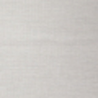 swatch-mini-silverivory