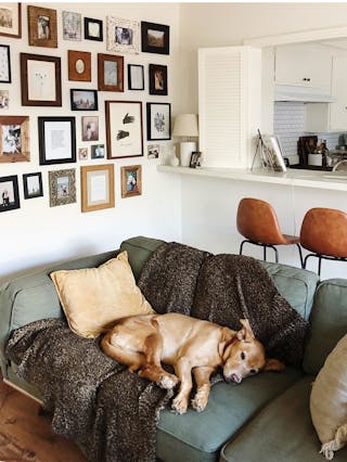 pdp-curated-ugc-timber-olio-green-sofa-ugc-#2-asset