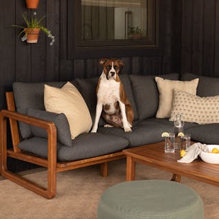 Laholm 94" Outdoor Corner Sectional Set in Dravite Black styled with pillows and a cute dog