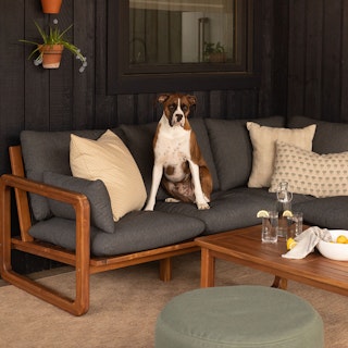 Laholm 94" Outdoor Corner Sectional Set in Dravite Black styled with pillows and a cute dog