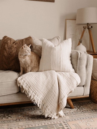 pdp-curated-ugc-timber-rain-cloud-gray-sofa-ugc-#2-asset