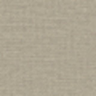 Swatch Silvertaupe