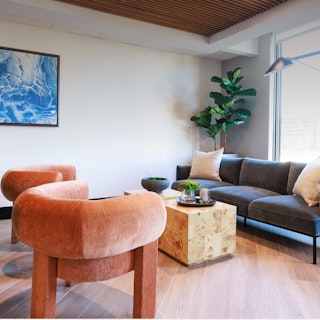 Article-Pro-Residential-Case-Study-Asset-Jewel-Toned-Interiors