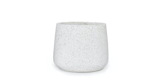pinterest-report-plantsom-products-tuva-asset