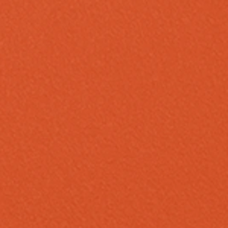 Collections Swatch - Begonia Orange - Img - Asset