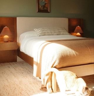 Collection Details - Cassie - Section 1 - Tile 1-IMG